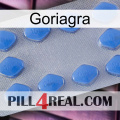 Goriagra 21